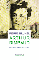 Arthur Rimbaud ou l'éclatant désastre [nouvelle édition]